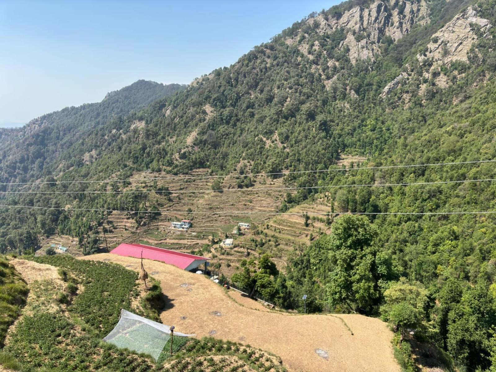 The Groove Garden Dhanolti Dhanaulti Exterior foto